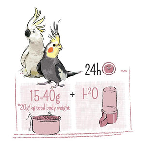 Witte Molen Puur Large Parakeet & Cockatoo 750g/2kg Parrot Bird Food Diet