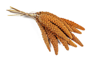 Emas 10 Red Millet Spray Seeds 200g
