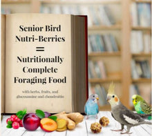 Load image into Gallery viewer, Lafeber Senior Bird Nutri-Berries for Parakeet &amp; Cockatiel 10oz Parrot Bird Food Diet