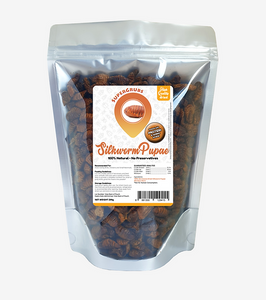 SuperGrubs Dried Silkworm Pupae 200g For Small Animals