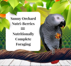 Lafeber Sunny Orchard Nutri-Berries for Parrots 10oz