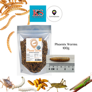 SuperGrubs Dried Phoenix Worms 100g For Small Animals