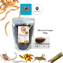 Load image into Gallery viewer, SuperGrubs Dried Silkworm Pupae 200g For Small Animals