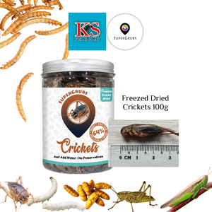 SuperGrubs Freeze-Dried Crickets 75g For Small Animals